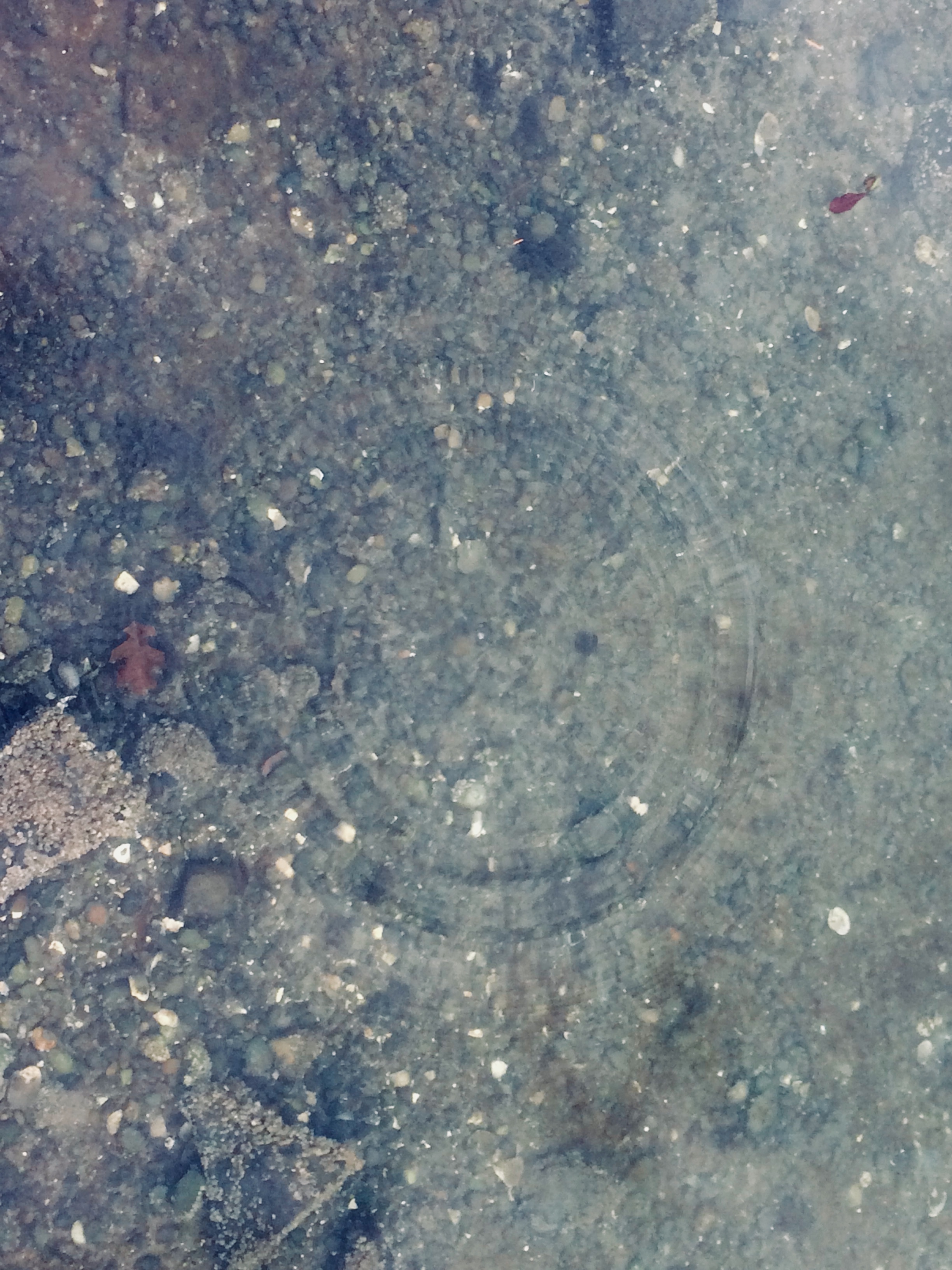 Ripple.