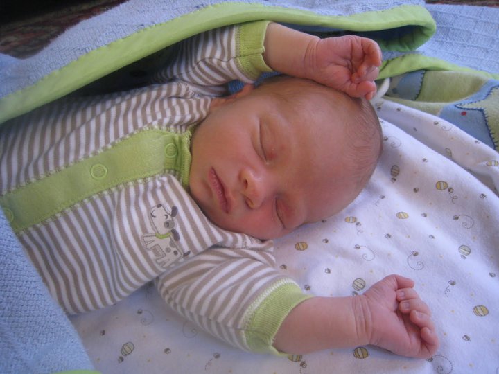 “If you want sweet dreams, you’ve got to live a sweet life.” –Barbara Kingsolver